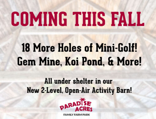 Coming This Fall: A New Activity Barn