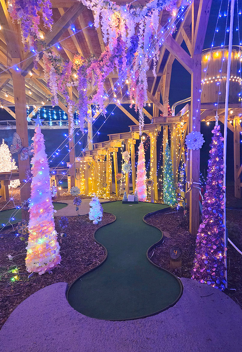 Johnson City TN Christmas Lights